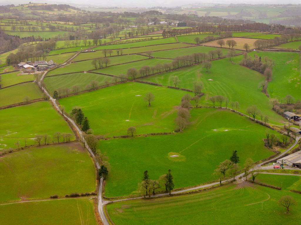 The land