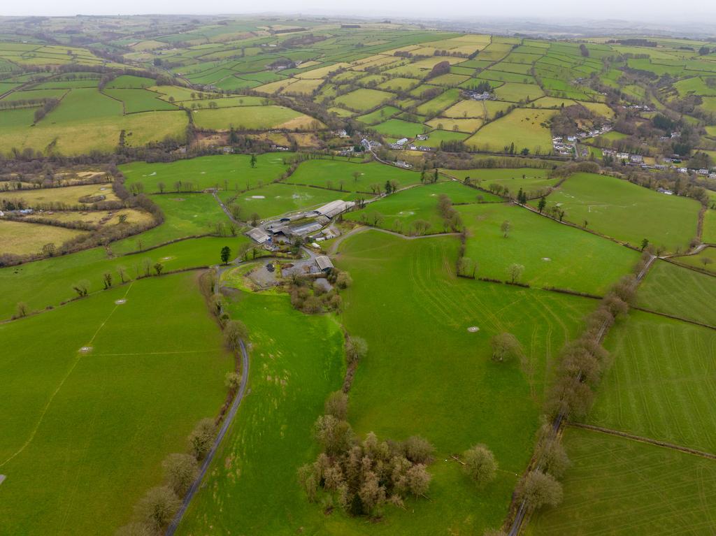 The land