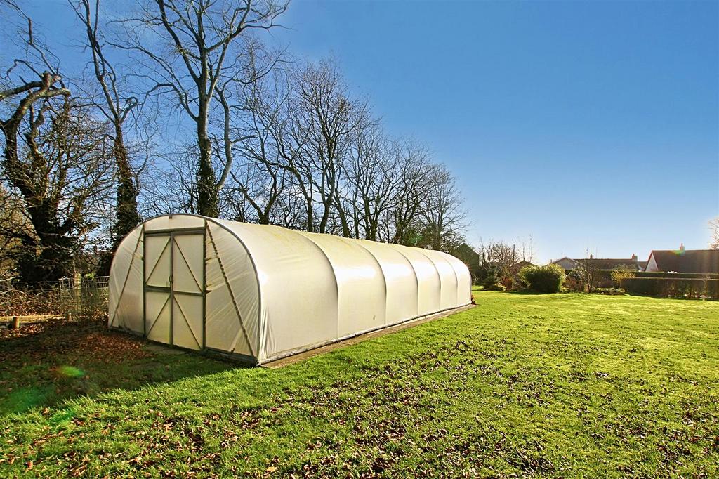 Polytunnel