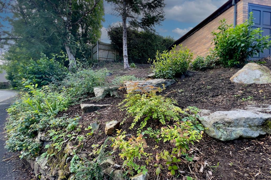 Side Garden