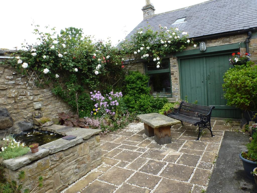 Patio Garden