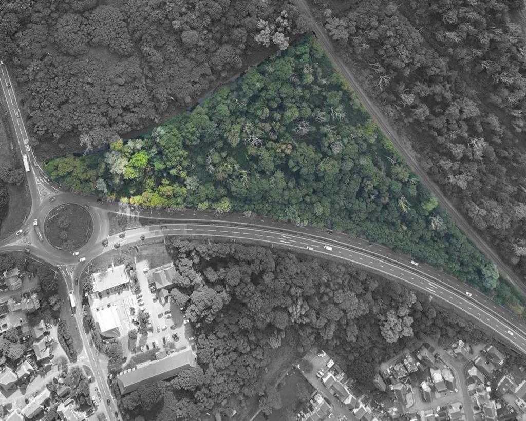 Norwich NR13 Land for sale £50,000