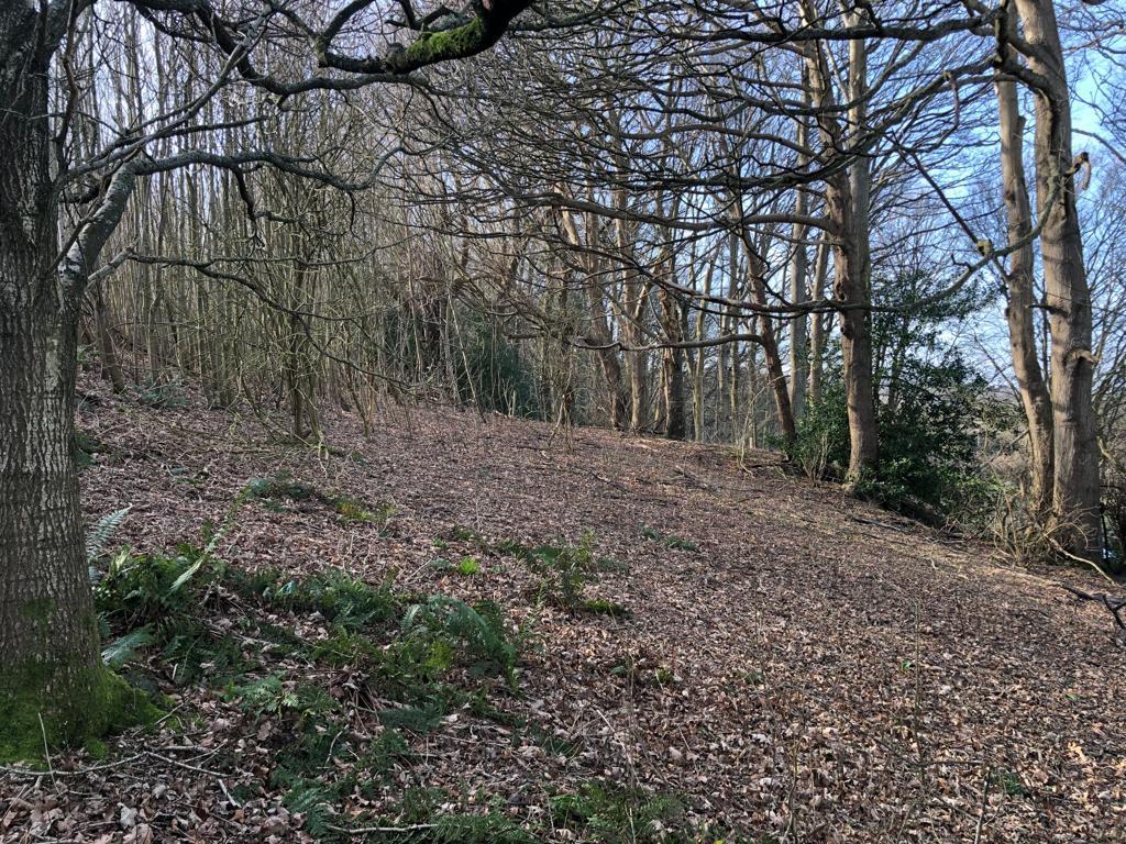 Battery Hill, Fairlight Land for sale £150,000