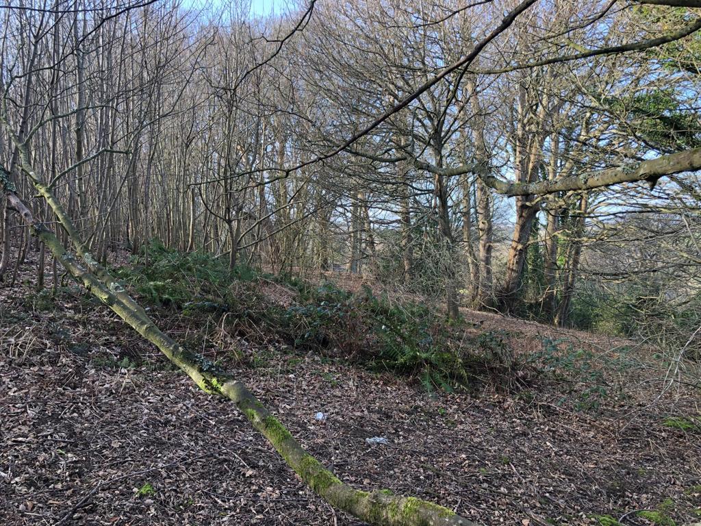 Battery Hill, Fairlight Land for sale £150,000