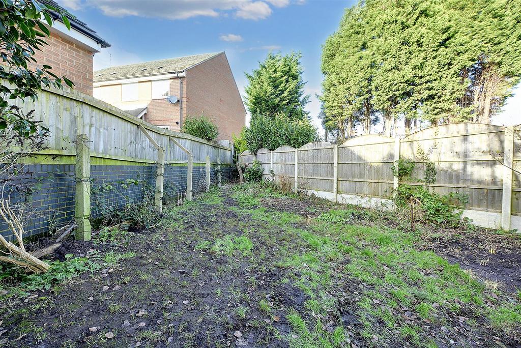 Garden 3.jpg