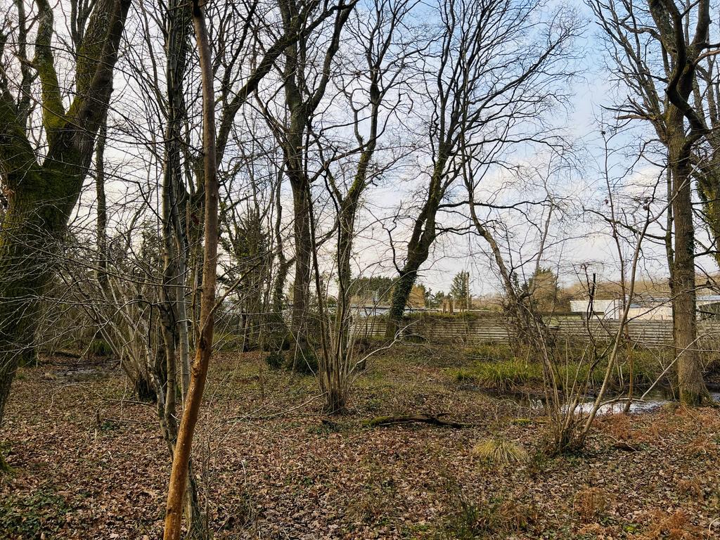 Botley Road, Burridge SO31 Land for sale £15,000