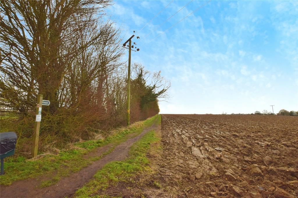 Picture 8