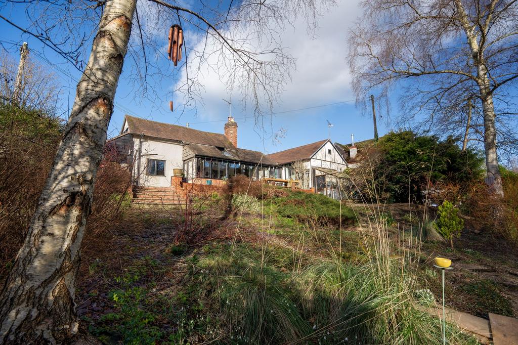 View from Garden