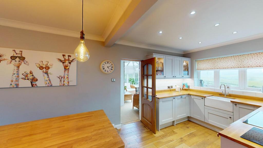 Meadowcroft-02032024 155419.jpg