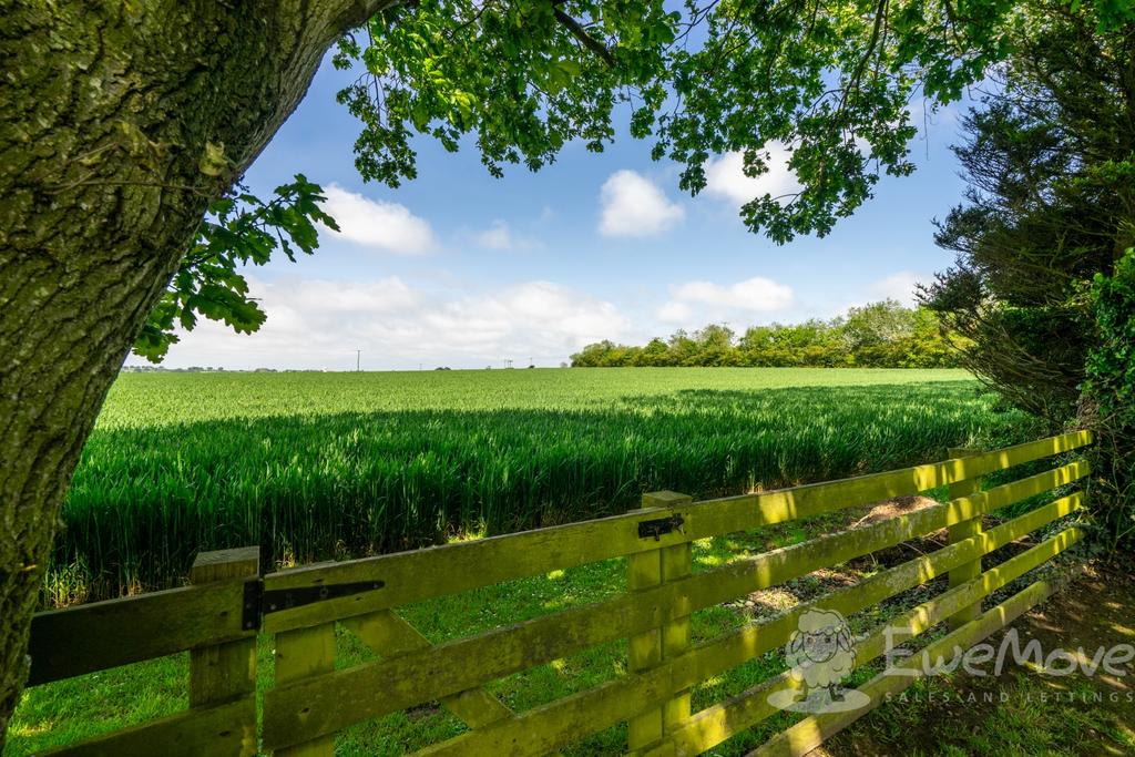 Field Views and Gateway to Walks