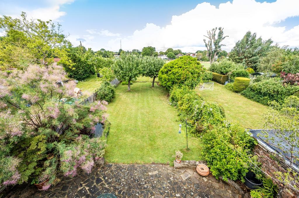Garden 2