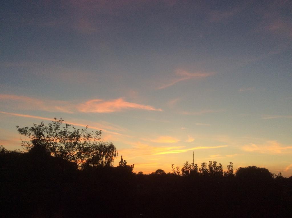 Evening Sunset