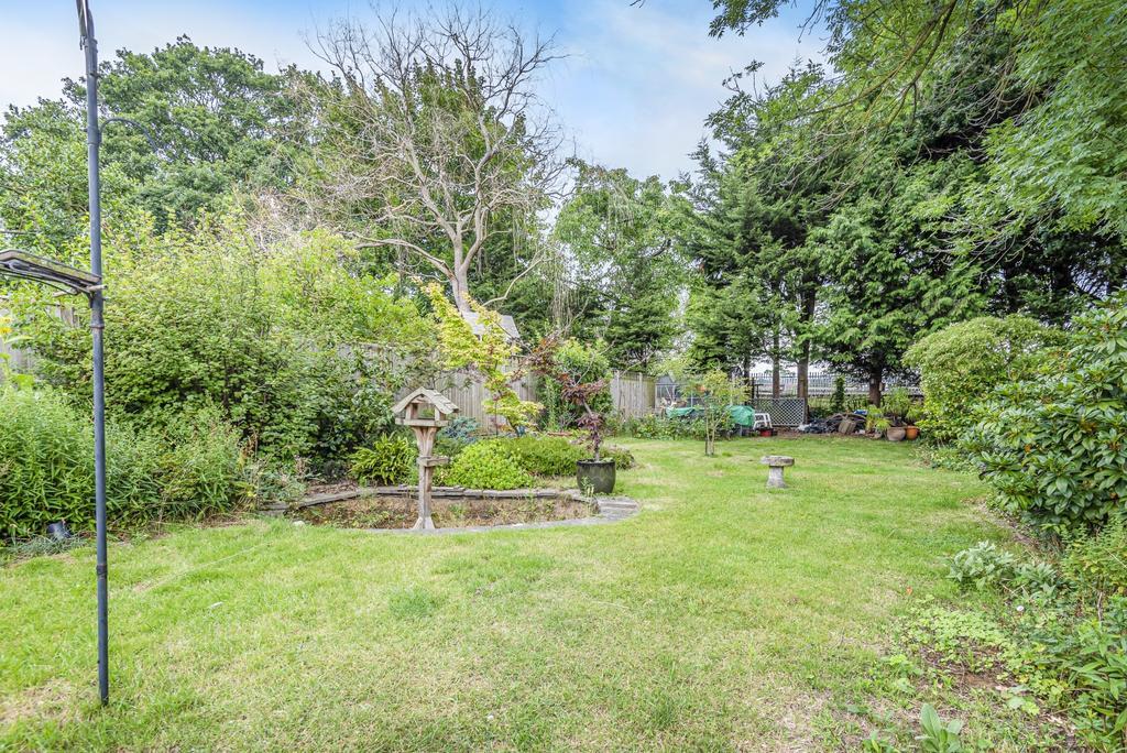 Garden (2)