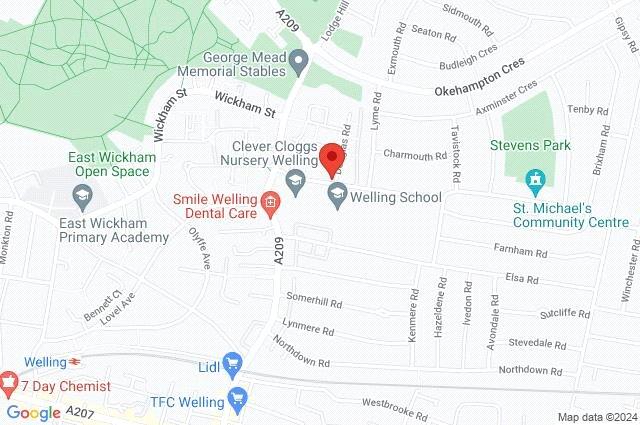 Google Maps Image