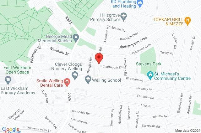 Google Maps Image