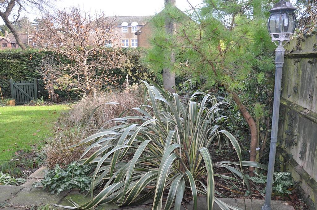 Garden 1.JPG