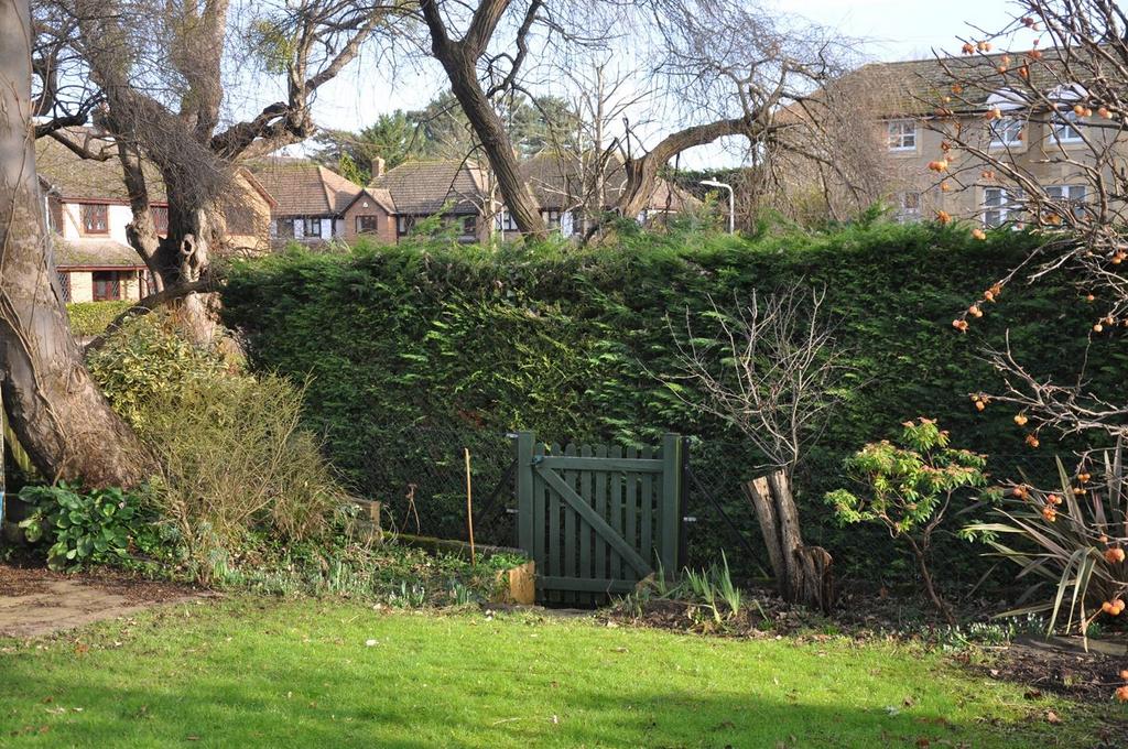 Garden 3.JPG