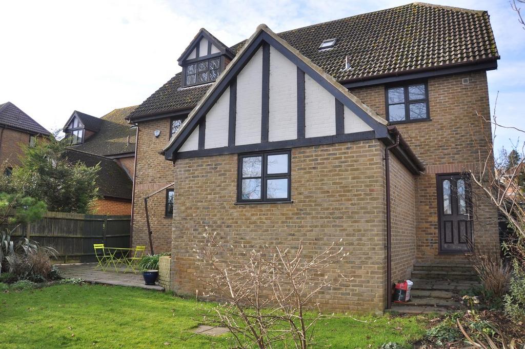 House Rear 1.JPG