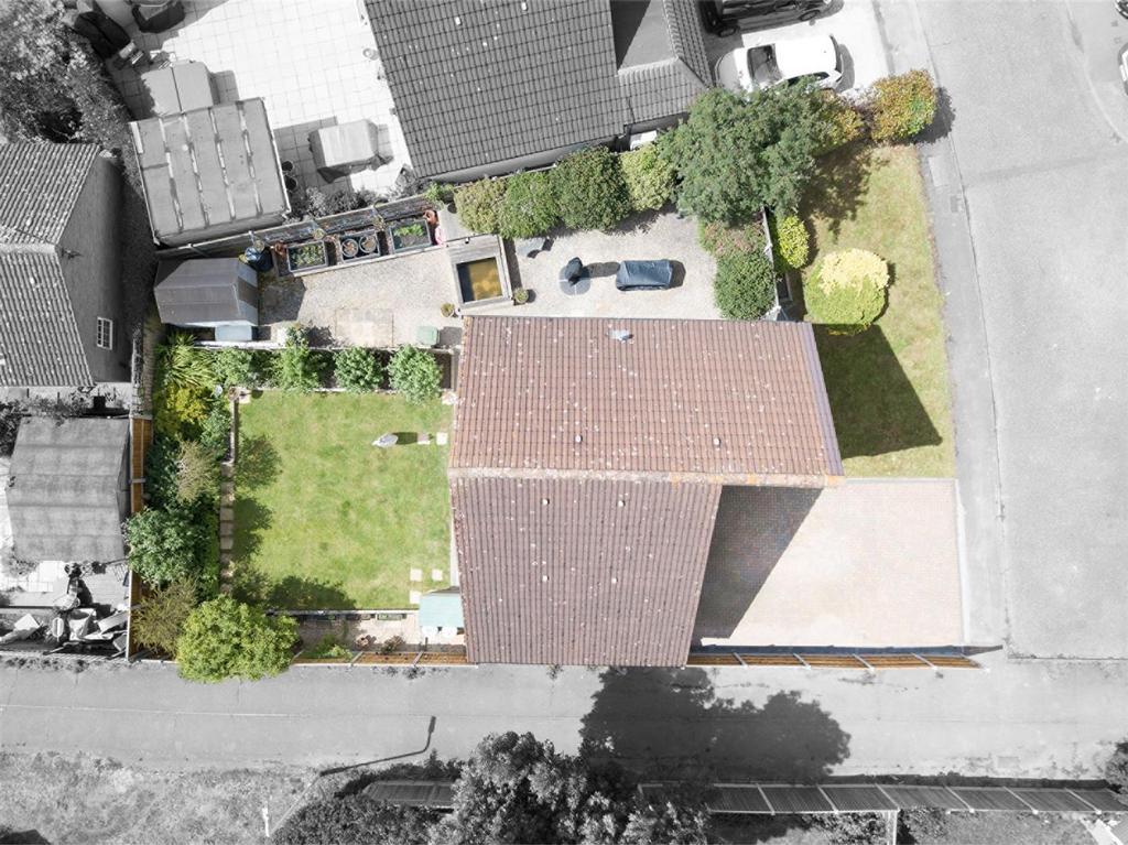 Plot