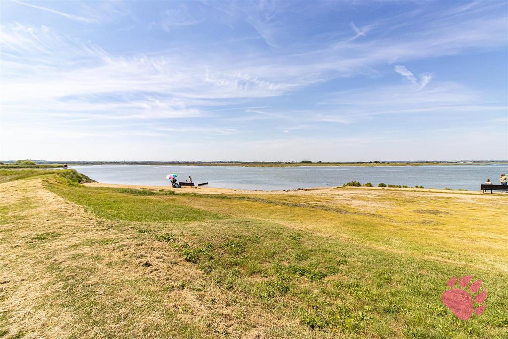 Overlooking Greenery/Estuary