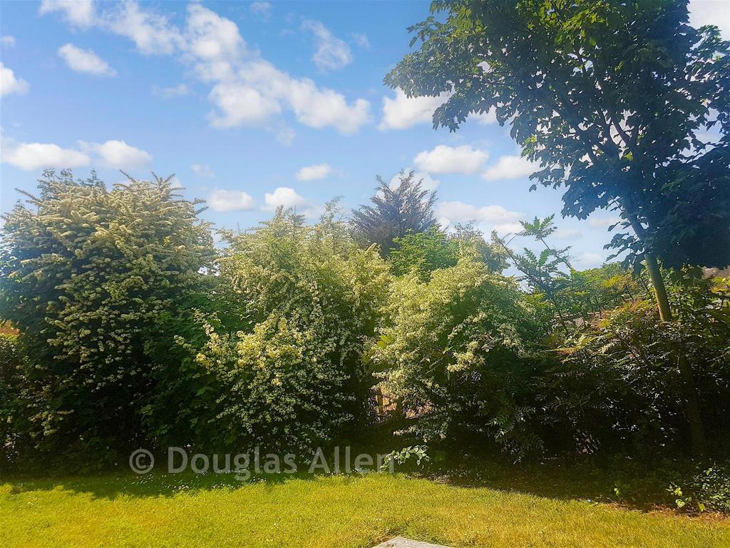 Communal Garden A