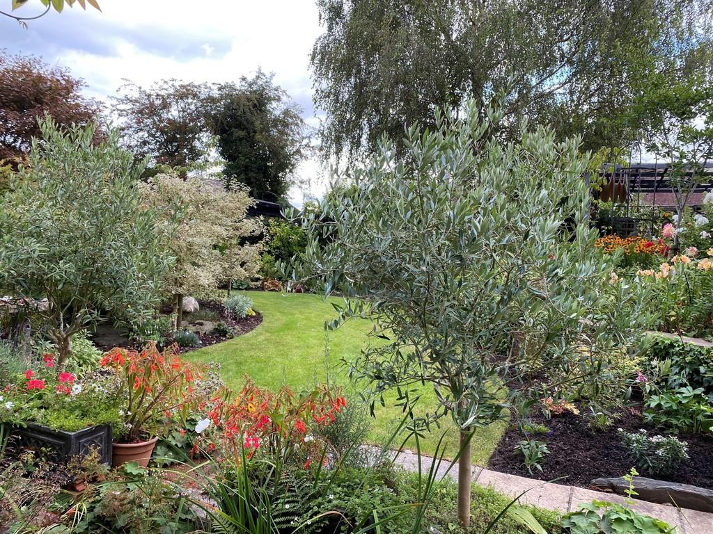 New Row, Draycottintheclay 3 bed detached house £475,000