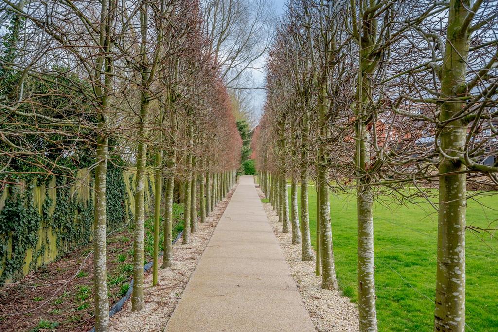 Holmewood Rear Garden