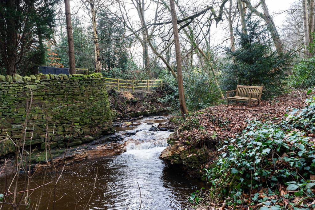 Woodland Garden