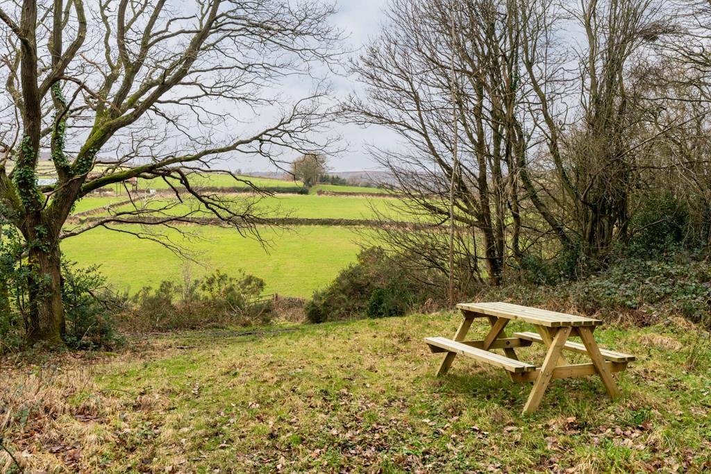 Woodland