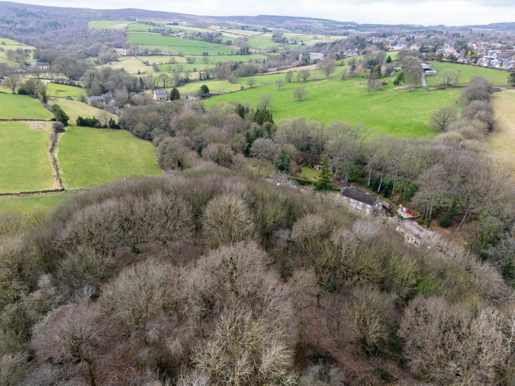 Woodland