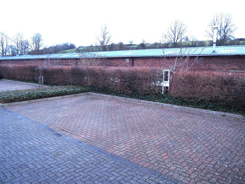 B14.jpg