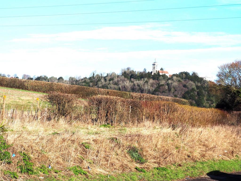 B56.jpg