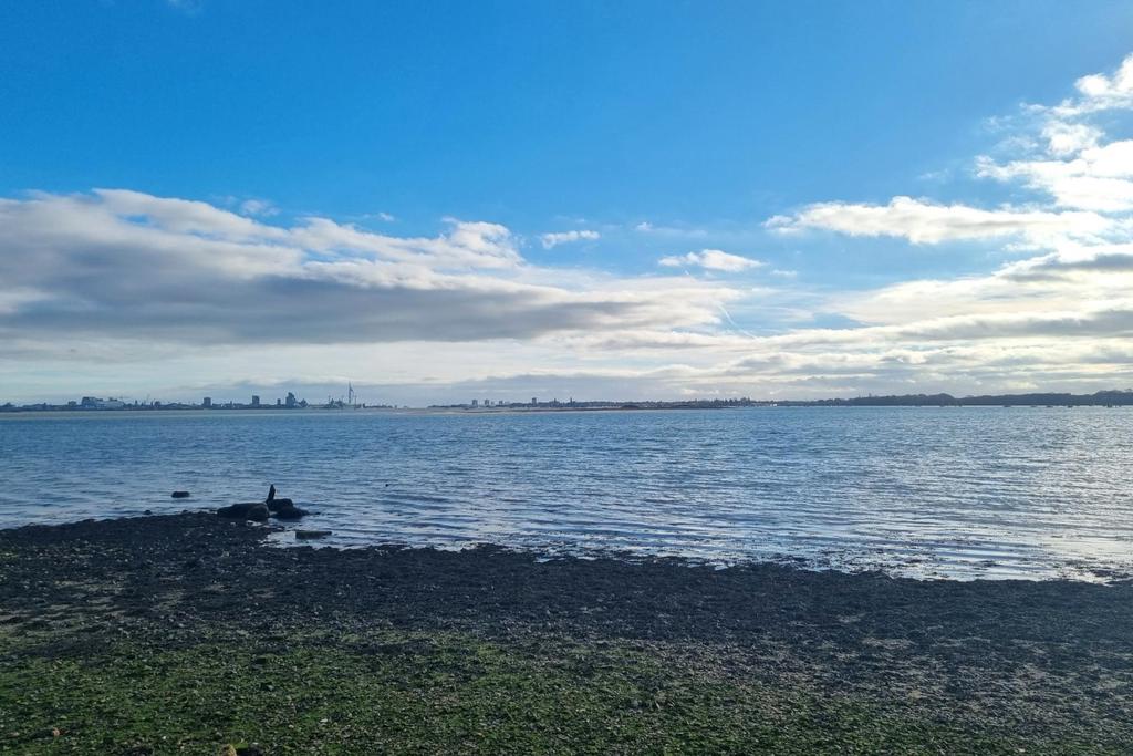 Portchester shoreline