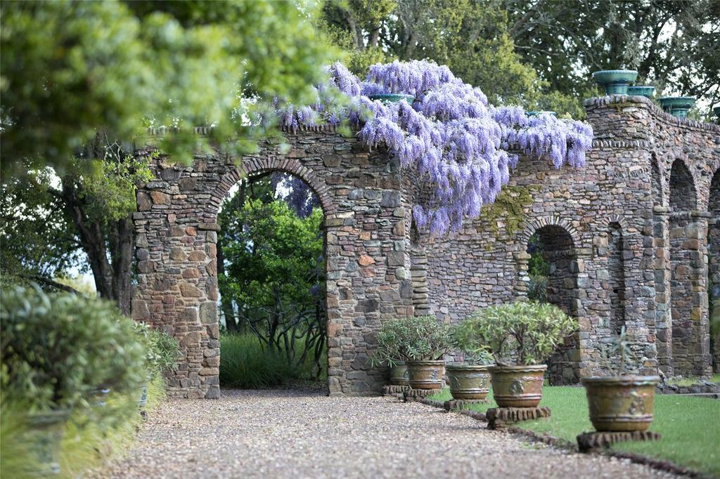 Roman Pool Wisteria