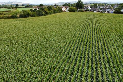 Land for sale, Land at Stoke Canon, Devon EX5