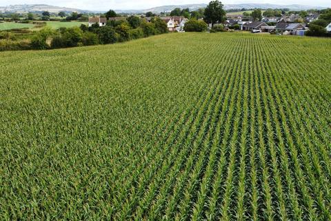 undefined, Land at Stoke Canon, Devon EX5