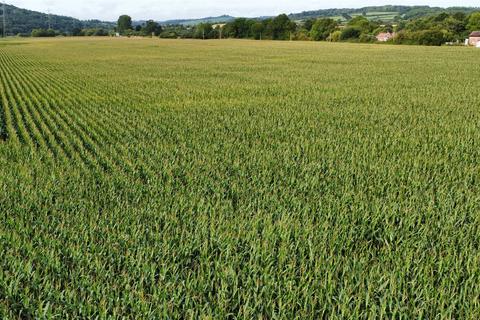 undefined, Land at Stoke Canon, Devon EX5