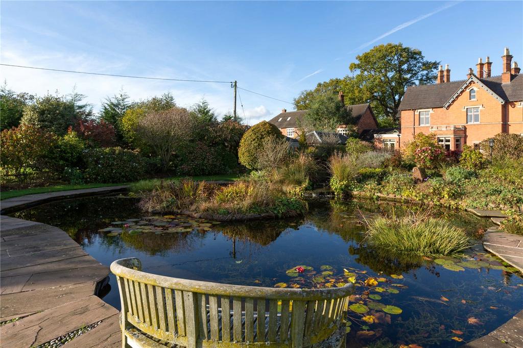 Pond