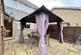 Thumbnail IMG 9389.jpg