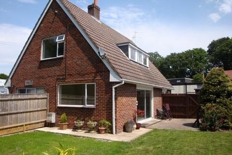 4 bedroom detached house to rent - Ringwood Road, Bransgore, Christchurch, BH23