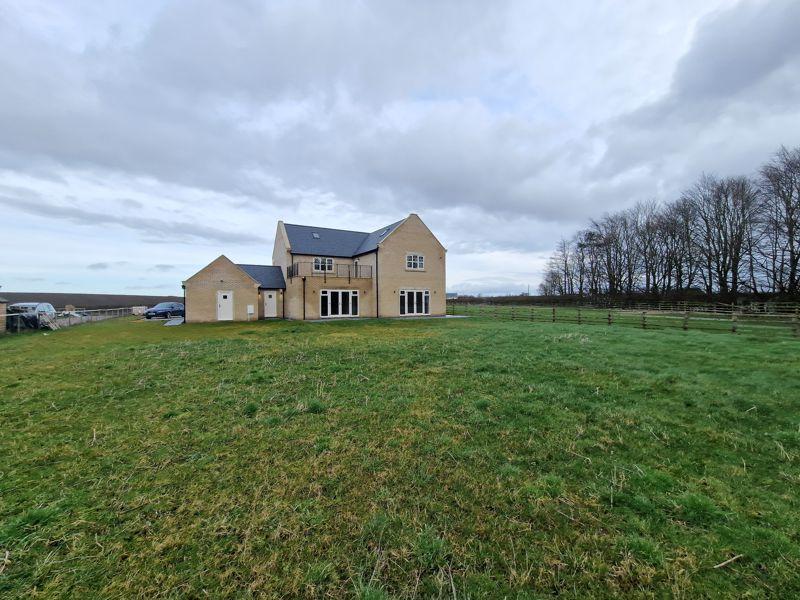 Rear Elevation
