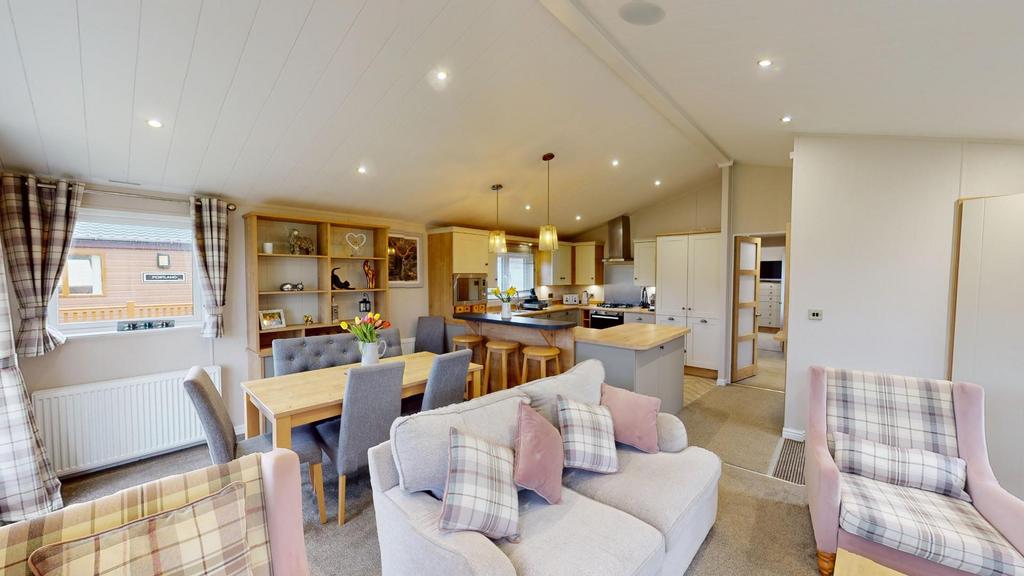 Willows-3-02032024 154415.jpg