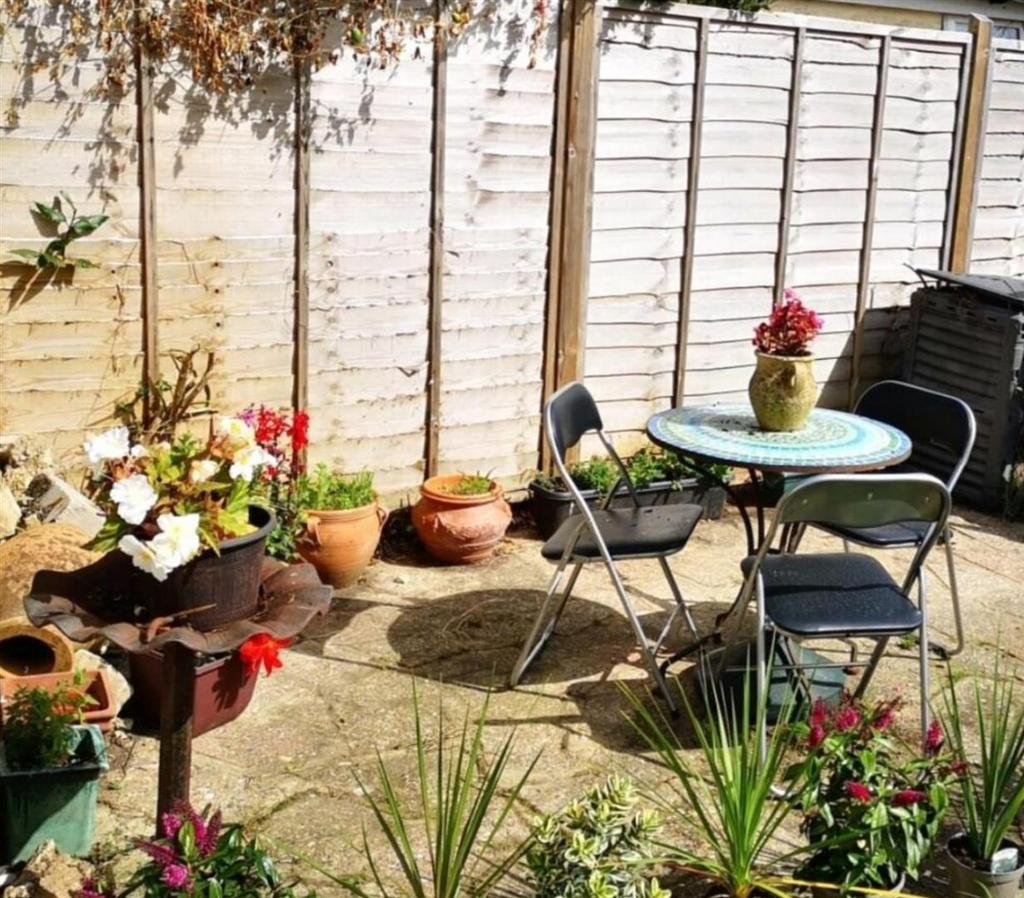 Patio Area