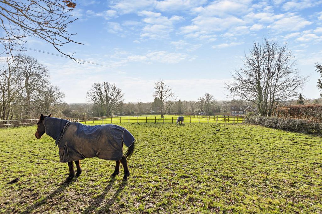Paddocks