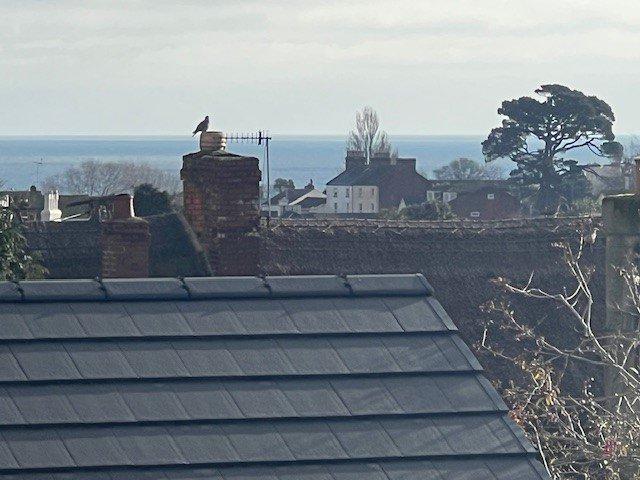 Bedroom View To Sea