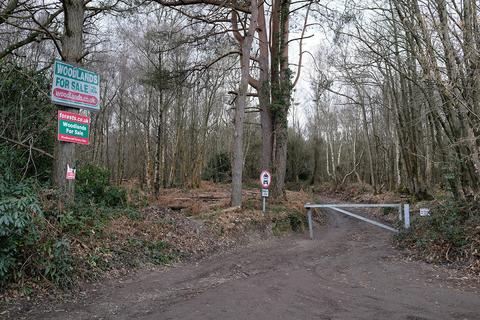 Woodland for sale, Limekiln Forest Road, Eridge Green TN3