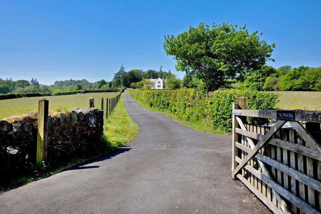 Driveway