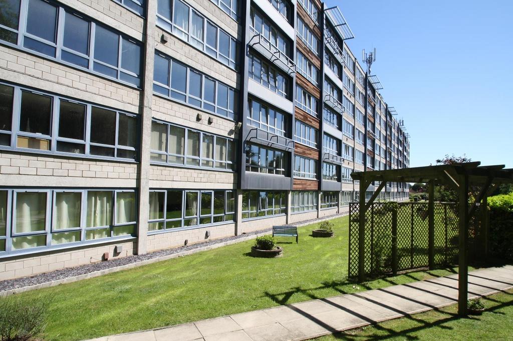 External