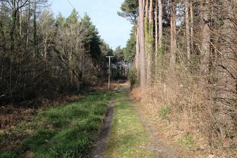 Woodland for sale - Binsted Lane, Arundel BN18