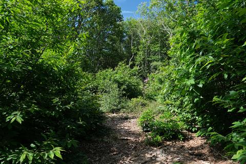 undefined, Furnace Lane, Rye TN31